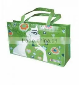 Best Sell Non Woven Bag/PP Non Woven Bag/non woven laminated shopper bag