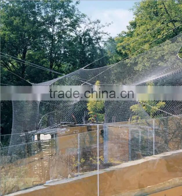 Hebei Shuolong ISO Manufactory export stainless steel wire mesh / mesh fabric