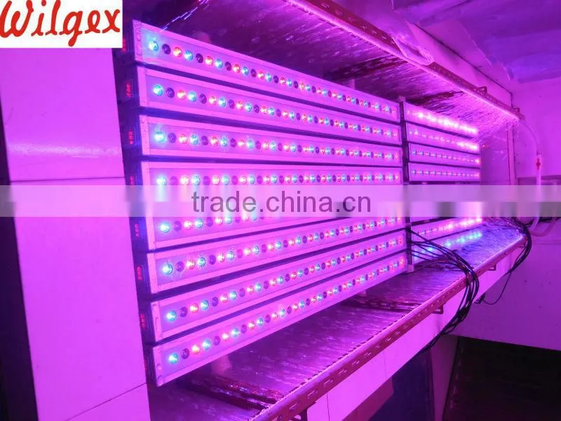CE ROHS Approved 36W waterproof LED Wall Washer Lamp