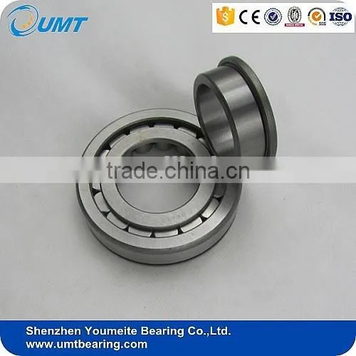 High Precision Cylindrical Roller Bearing NU2204E