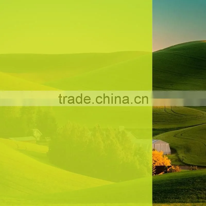 light yellow glass window film for building decoration with high UV rejection