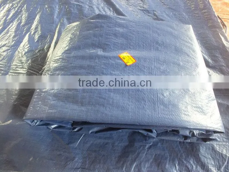 Quality Products Waterproof Tarpaulin Car Cover Blue/Silver PP Plastic Laminating Tarps