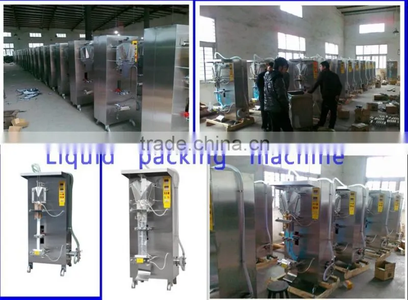 Stainless steel bag liquid filling machine