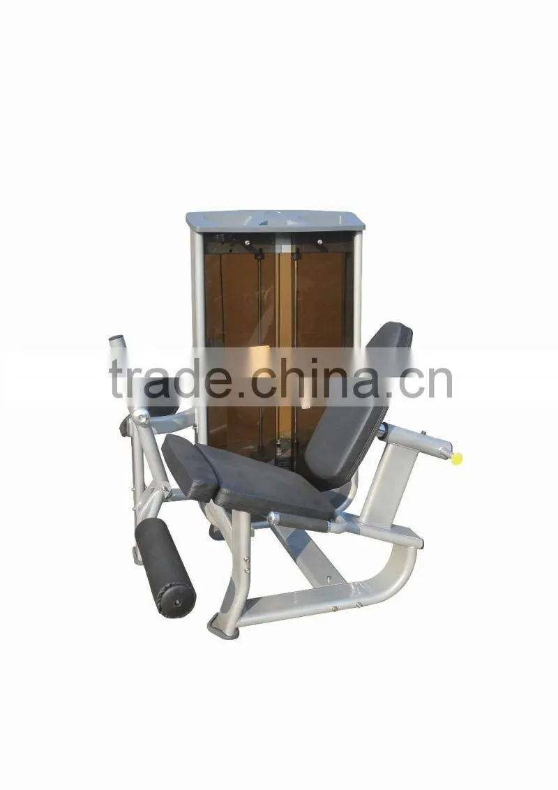 Leg Extension D-1010