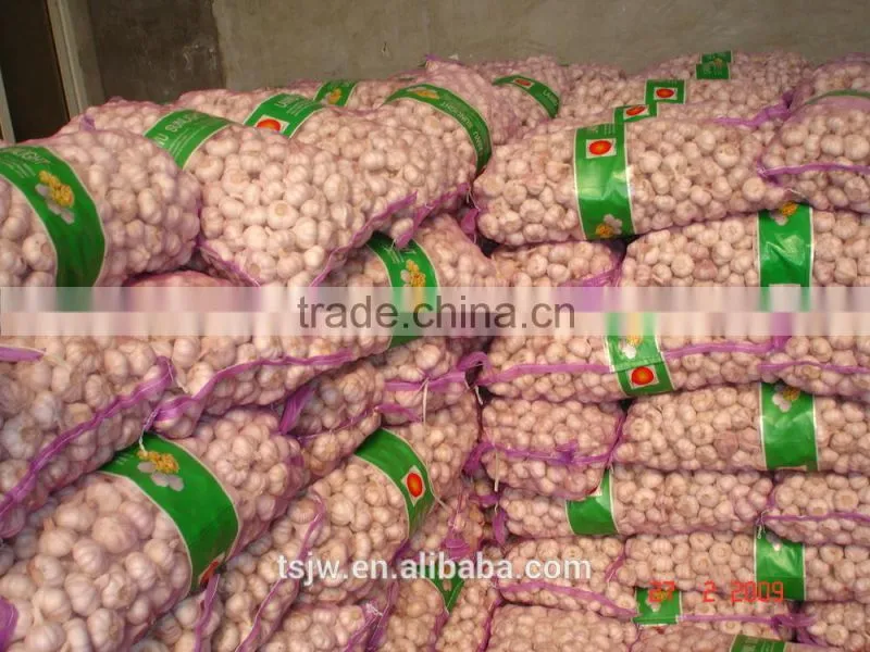 chinese normal garlic