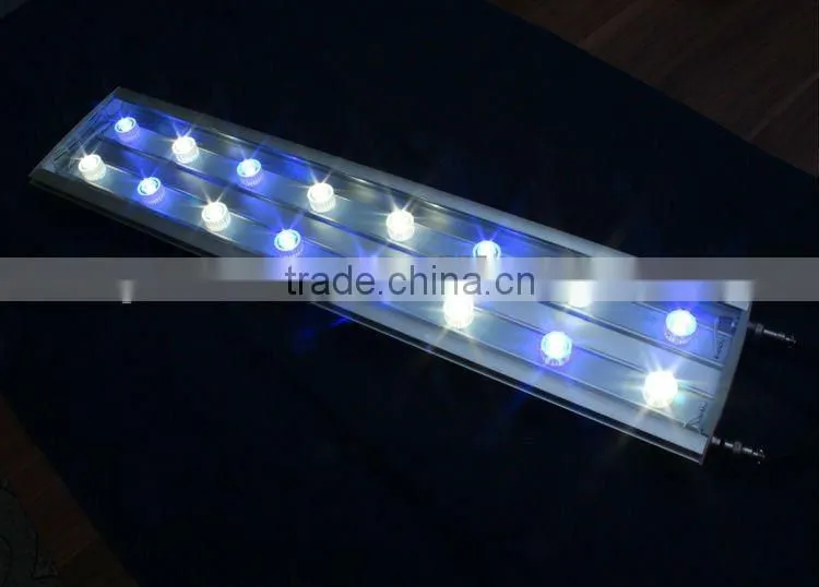 Hot sale 50w cree led aquarium lighting