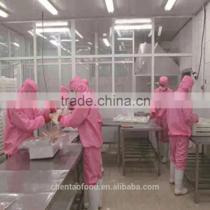 New frozen squid tube squid steak for sale