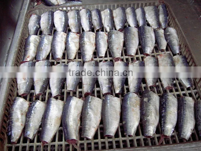 425g canned sardine fish in tomato sauce
