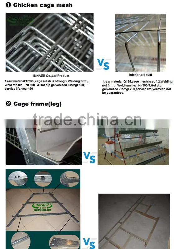 INNAER factory supply all kinds chicken coops for poultry chicken farm