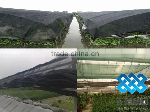 Outdoor sun shade net