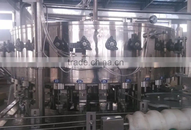 Can Filling Plant
