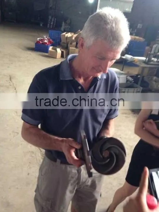 Duoble impeller 2"high pressure fire fighting water pump with aluminum Made in China