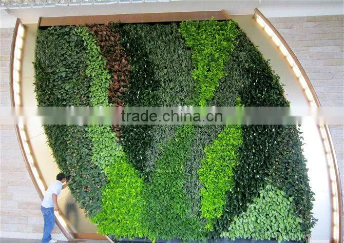Artificial outdoor plant wall (special offer/bargain price:/2014 High Quality Factory pricer )