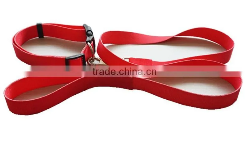 Custom pet collars & Leashes