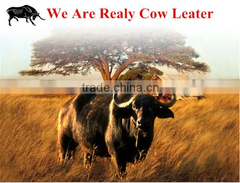 finished action cow leather from GT CHINA