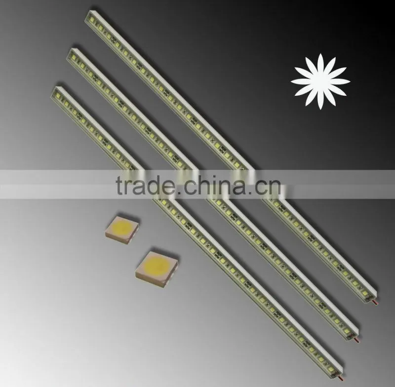 Non-Waterproof Led Strip Light 3528/5050 30leds 12V