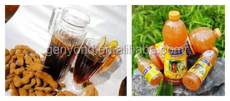 Complete Tamarind Juice Production Line / Tamarind Juicing Machine