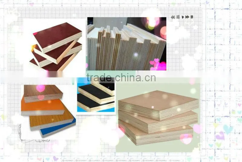 Plywood/ film faced plywood/commercial plywood