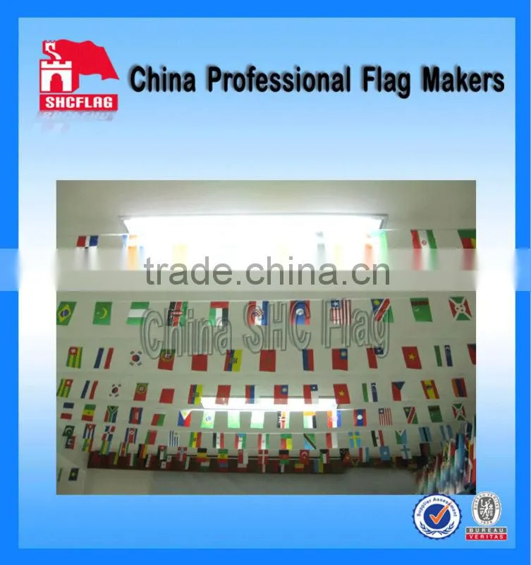 Promotion cheap fashionable and pretty hot flag bunting