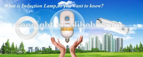 Die-casting Aluminum Housing High Bay Light Induction Lamp