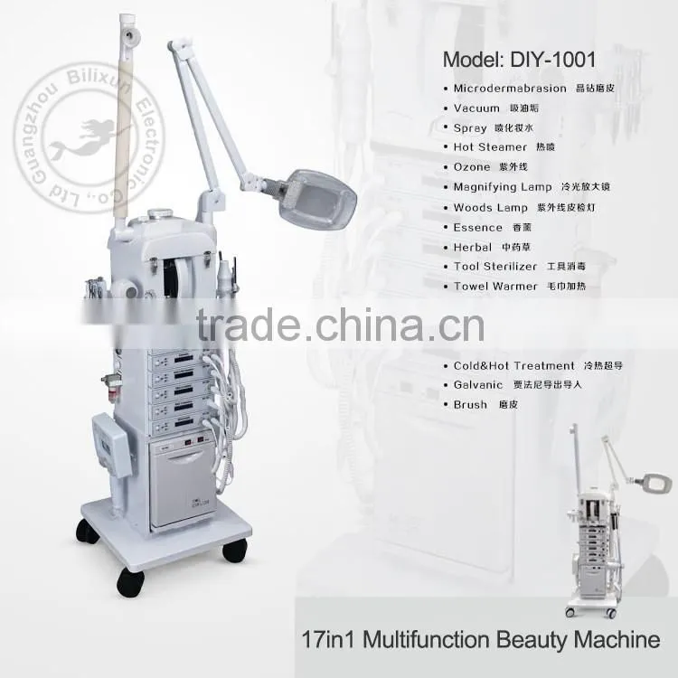 professional 17 in1 multifunction beauty saon facial machine DIY-1001