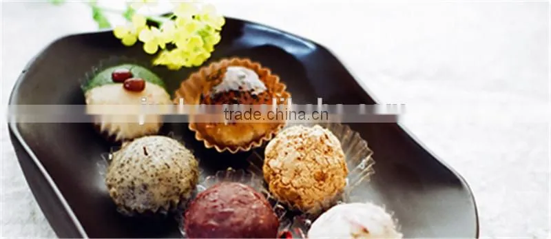 Automatic modified starch equipment