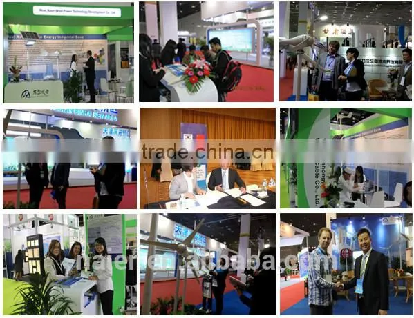 Wind Power Generator Type 300w wind turbine for sale