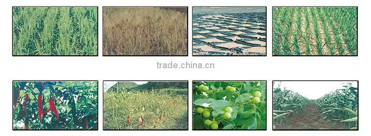 Functional Potassium Humate Composite Super Absorbent Polymer For Agriculture