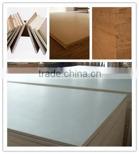 poplar plywood