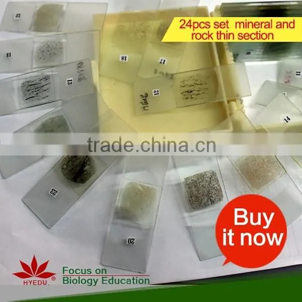 lab Prepared Slides , Glass Prepared Slides,science prepared slides