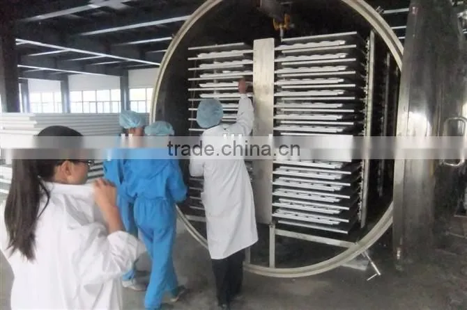 New Condition and Dryer Type food lyophilizer