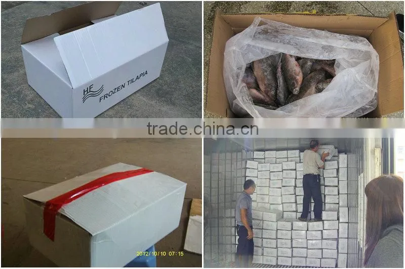 Frozen black pomfret