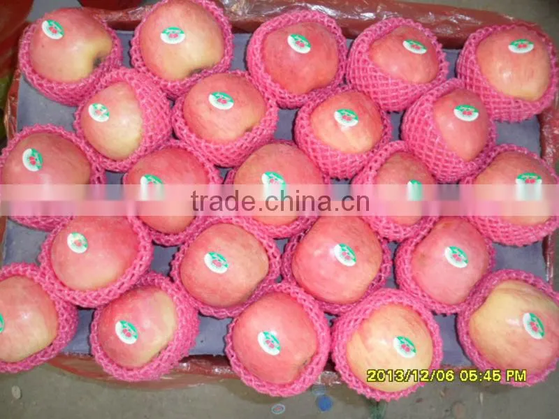 Fresh Apple From China Best Price export