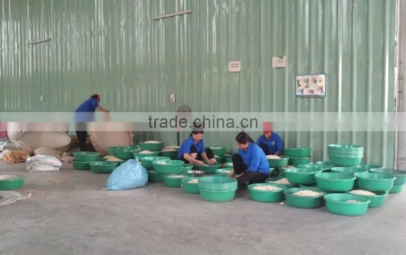 VIETNAM LOTUS SEED, HIGH QUALITY AT RIGHT PRICE