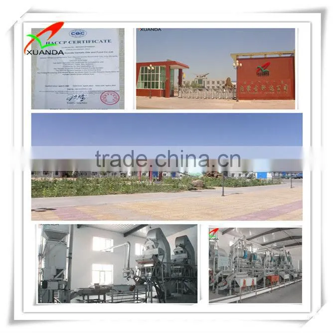 black water melon suppliers