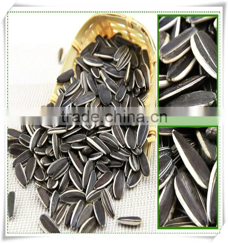 ROASTED AND SALTED SUNFLOWER SEEDS