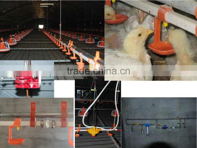 Automatic broiler poultry farm equipment