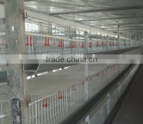 Bird cages quail battery cages quail cage