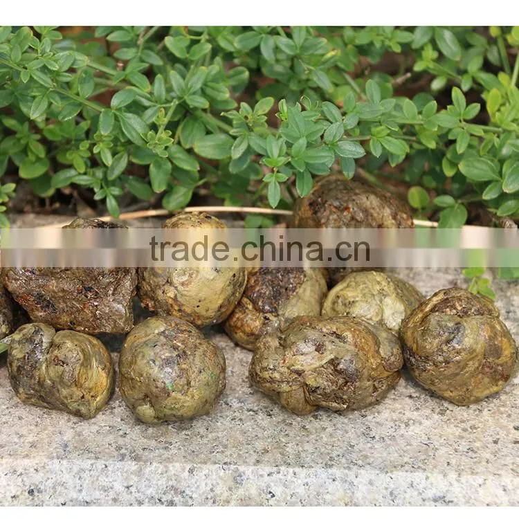 Pure raw propolis selling all the word