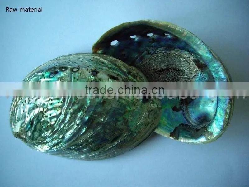 Abalone Inlay Paper Paua Seashell Laminate Mother Of Pearl Shell Veneer Sheets