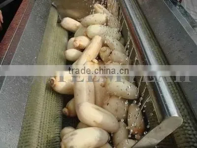 TW-1500A ginger peeling machine