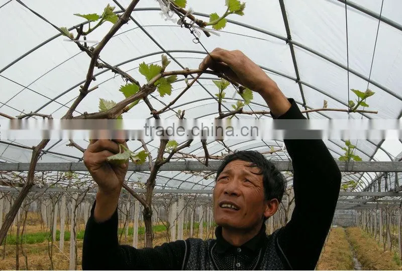 plastic film greenhouse HIGH QUANLITY PE weaving fabric GREENHOUSE FILM