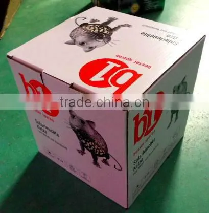 OUTDOOR CAT SOLAR LIGHT