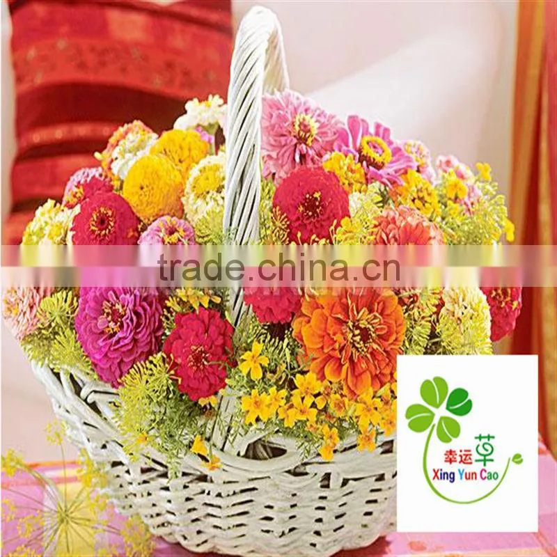 white wicker basket with handle Wicker basket of eggs