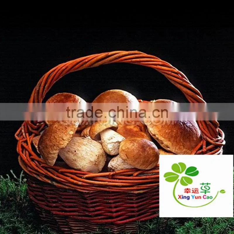 white wicker basket with handle Wicker basket of eggs