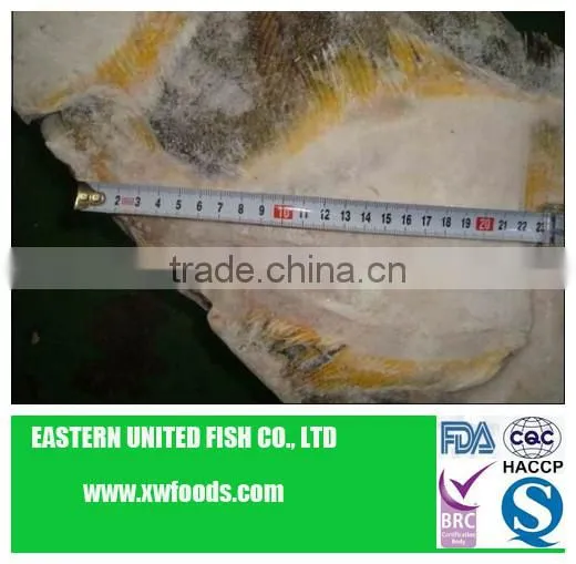 seafood sole-yellow fin fillets