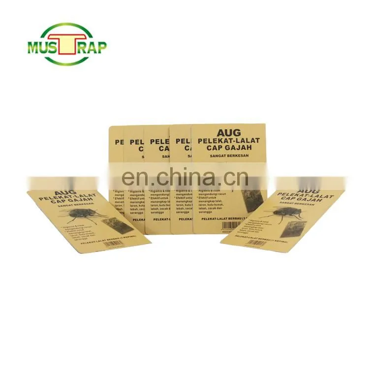MUSTRAP hot sale INDIAN yellow Fruit Fly strong power insect catcher glue Trap killer Cardboard