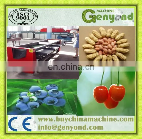 new type automatic multifunctional dates sorting machine