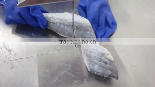 IQF Spanish Mackerel fillet,Skin on ,Cutted