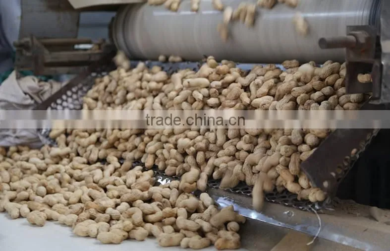 best selling products wholesale roasted peanuts roast peanut in shell price